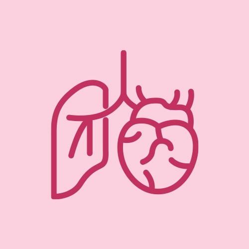 دستگاه‌های قلب و ریه